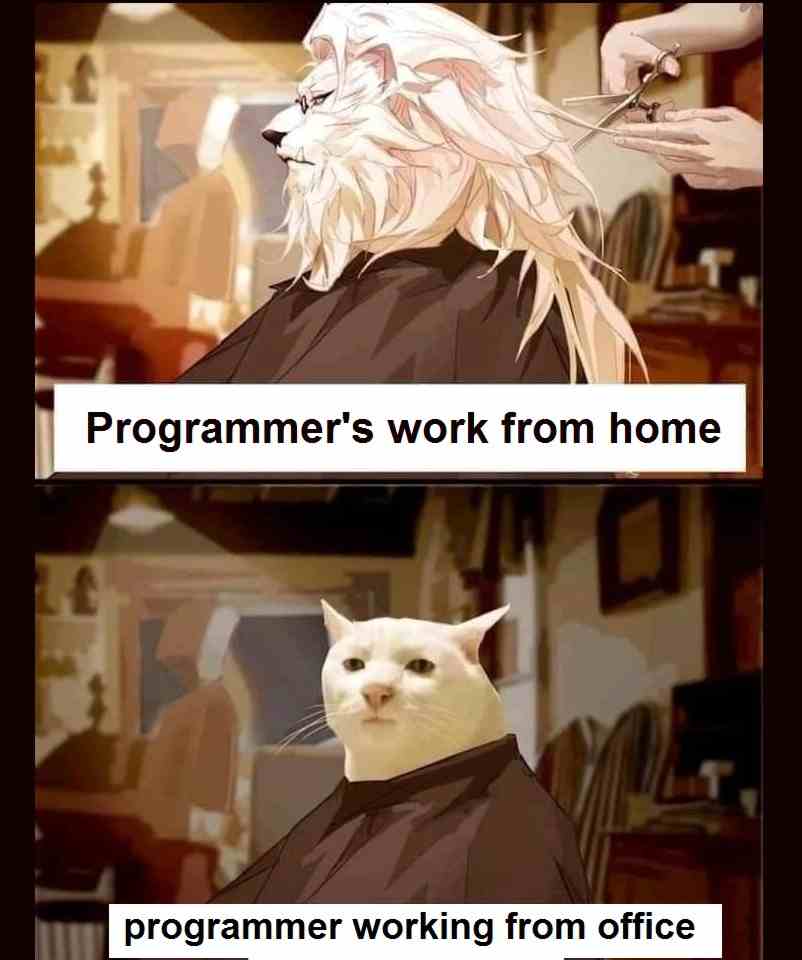 Programmer's work from home Vs Programmer's work from Office