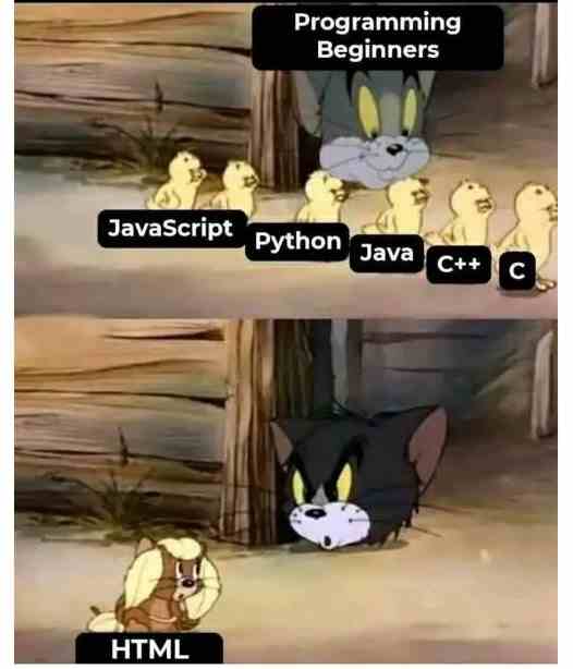 Programming Beginners