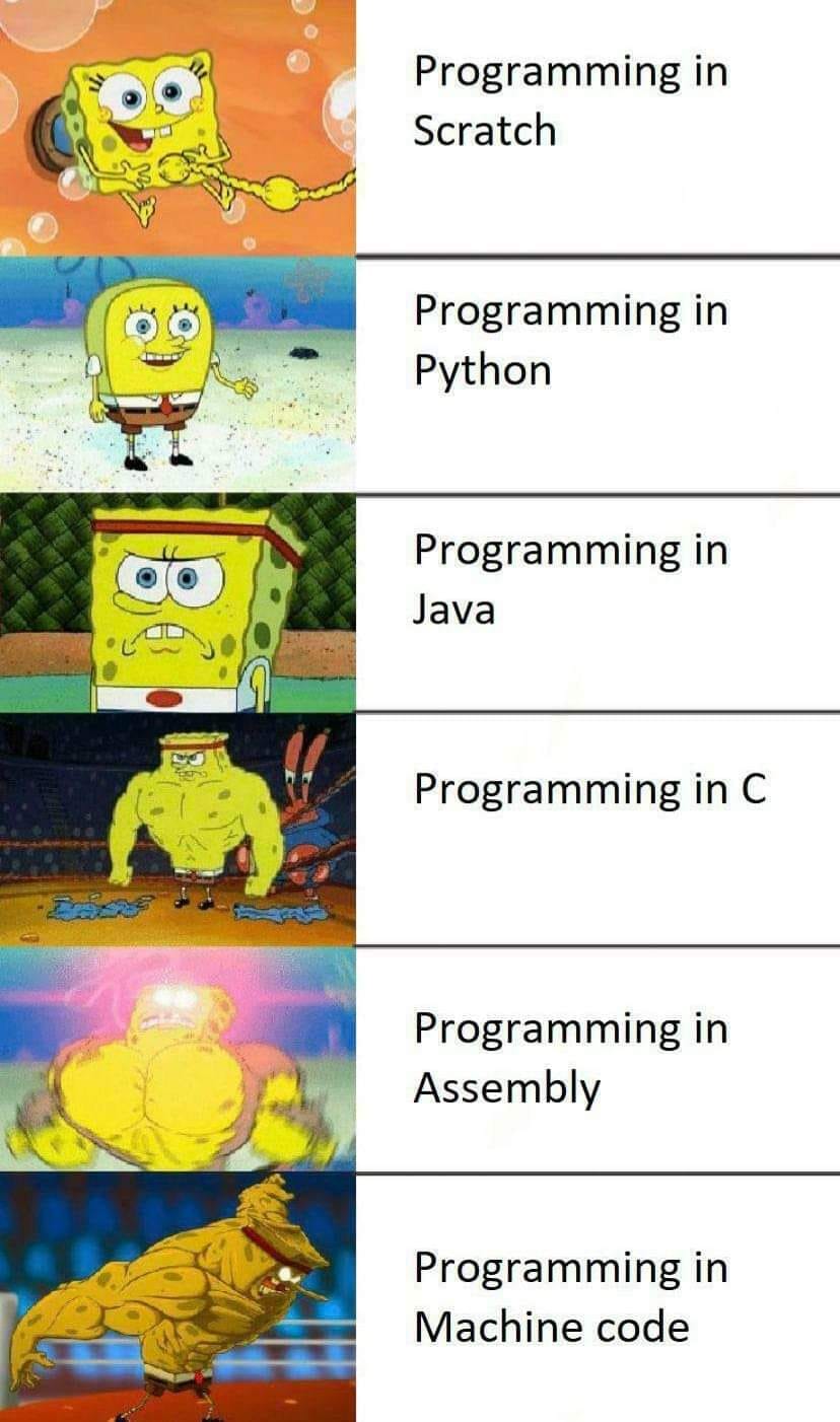 Programming in scratch & Programming in Machine code