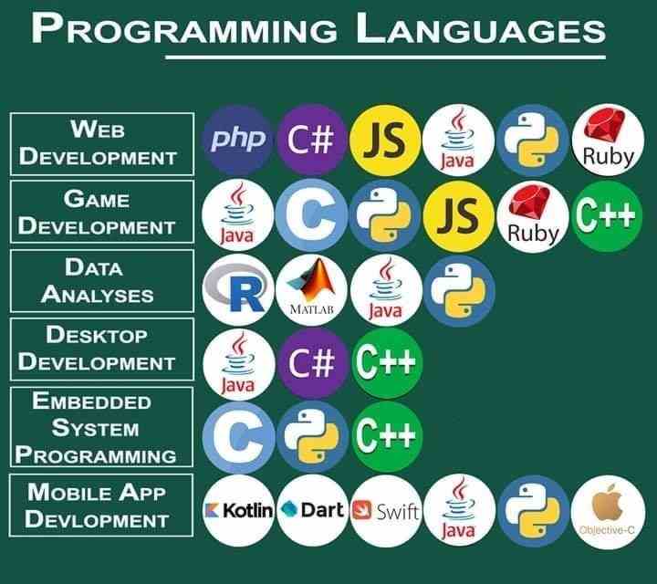 Programming Languages with purpose