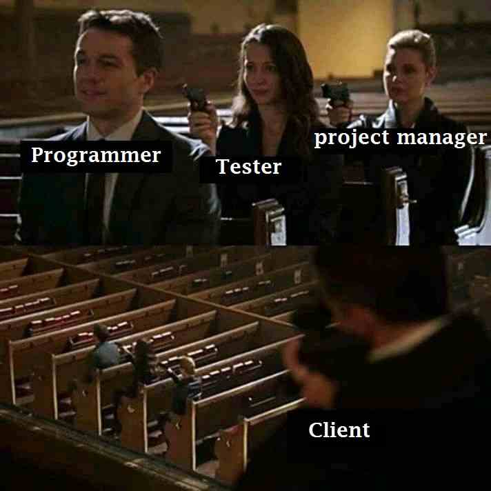 Project manager Tester programmer vs Client
