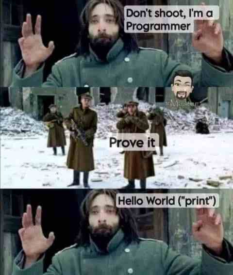 Prove it you a programmer