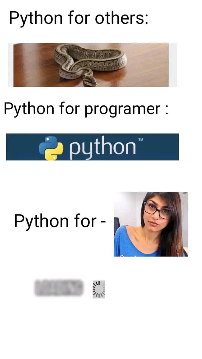 Python for others & python for programmer