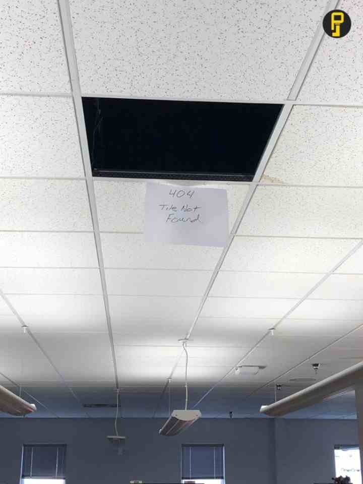 Roof in the office started leaking, lost a few tiles.