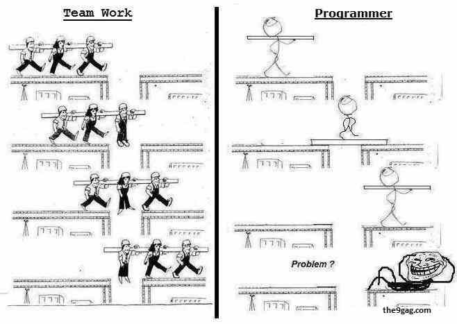 Team work vs single Programmer