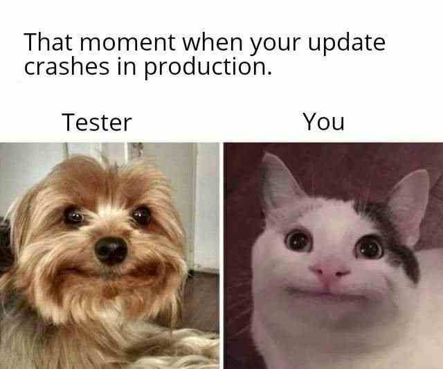 That moment when your update crashes in production
