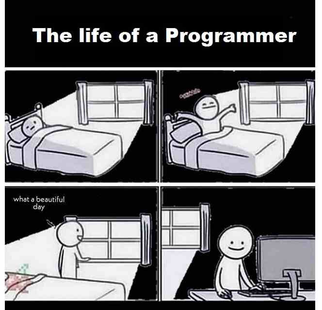 The life of a Programmer