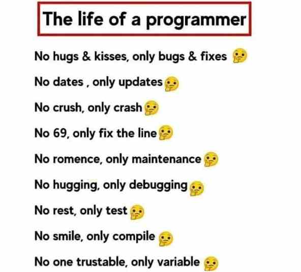 The life of a Programmers