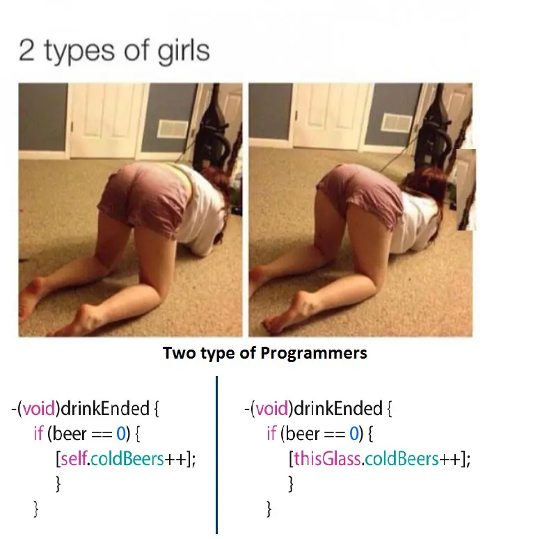 Two type of Programmers 