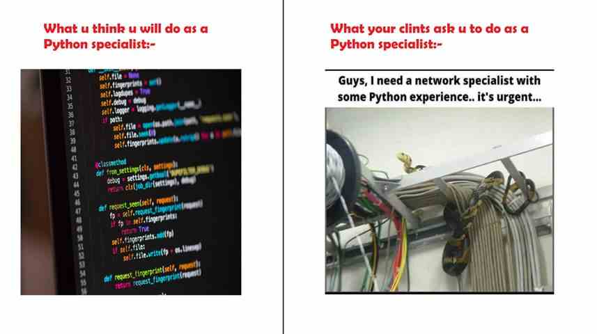 What u think u will do as a python specialist vs what your clients ask u to do as a python specialist