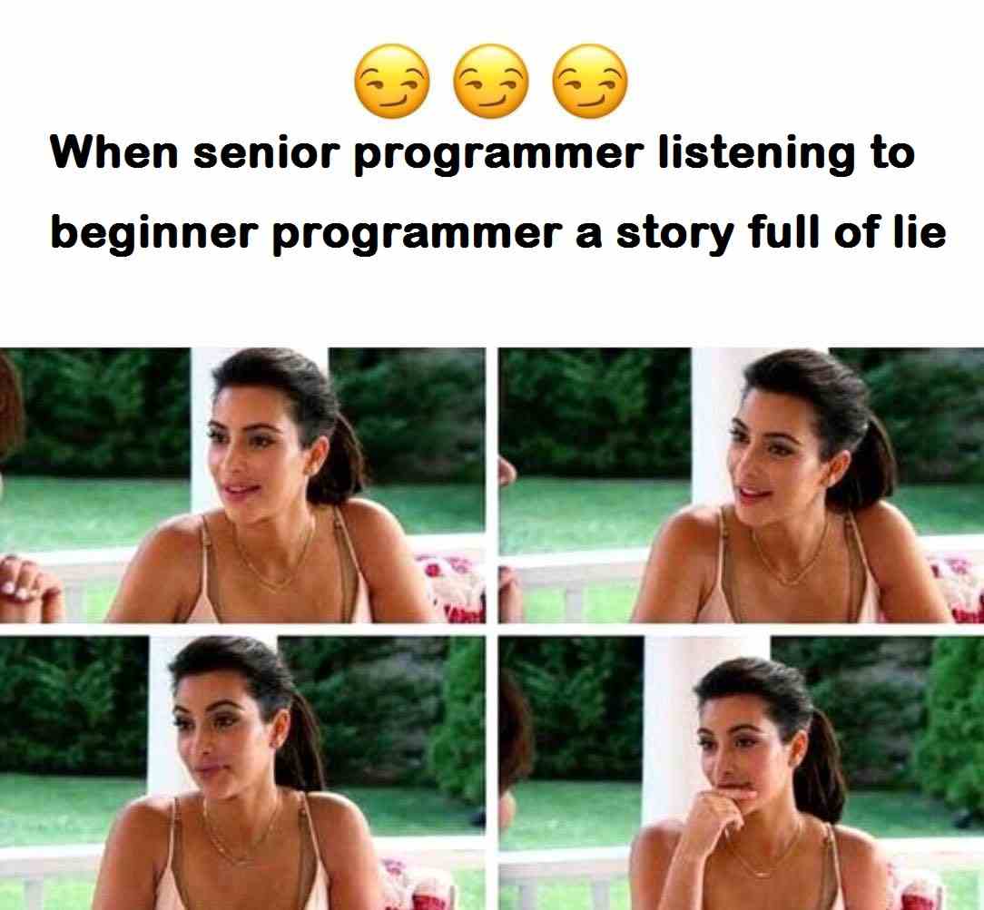 When senior programmer listening to beginner programmer a story full of lie