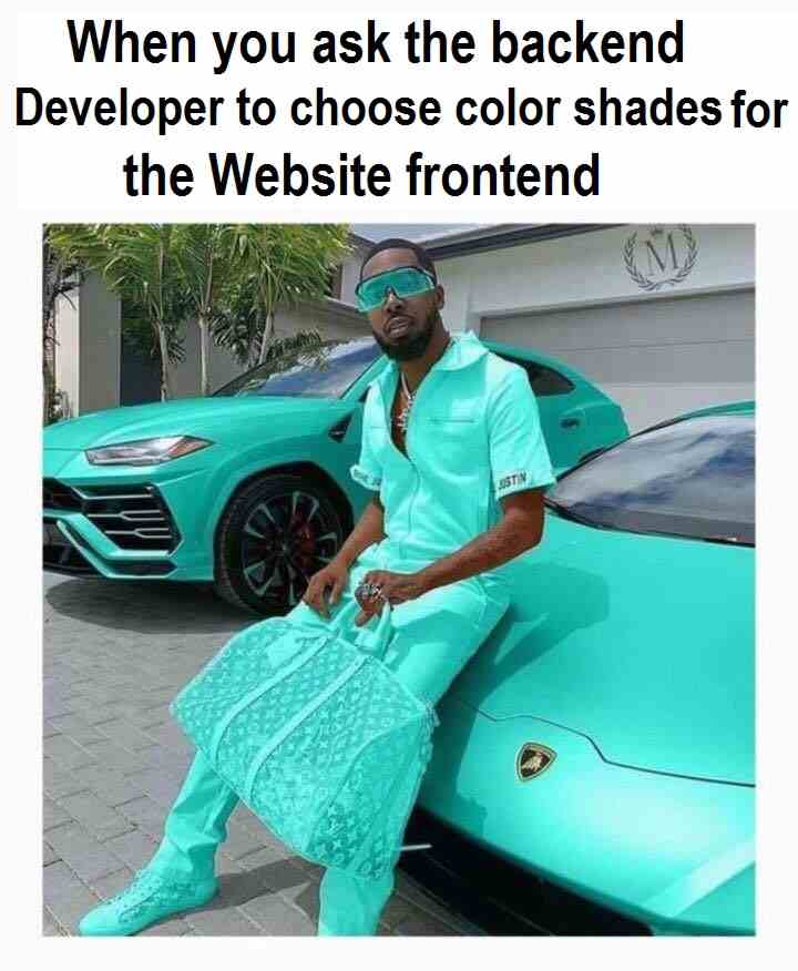 When you ask the backend developer to choose color shades for the website frontend