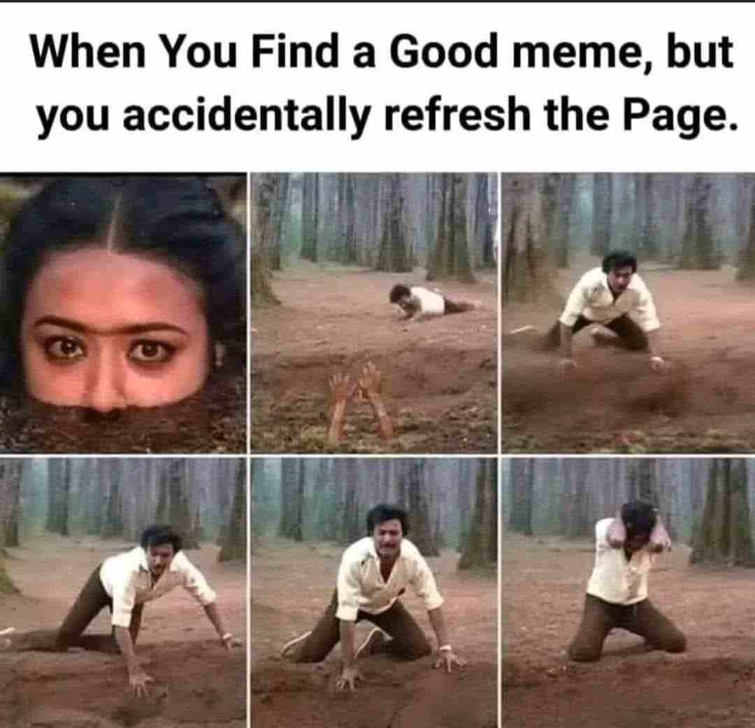 When you find a good meme, but you accidentally refresh the page