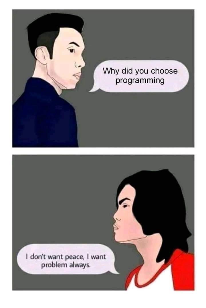 Why did you choose Programming