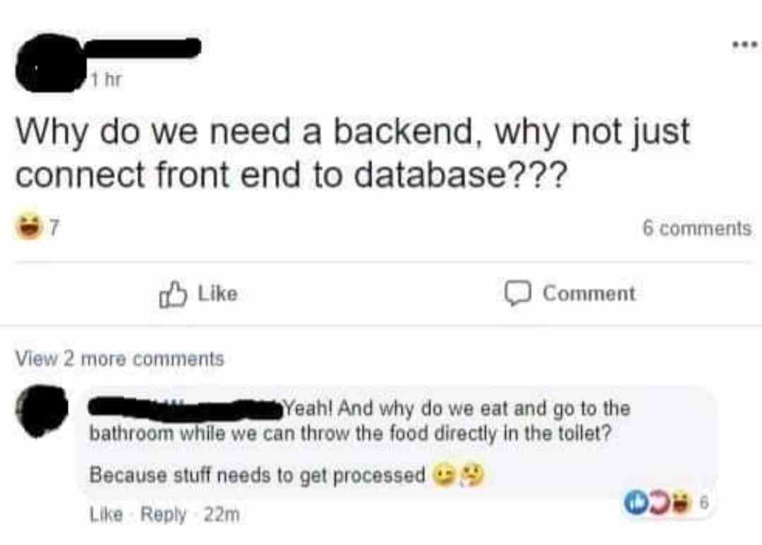 Why do we need a backend, why not just connect front end to database??