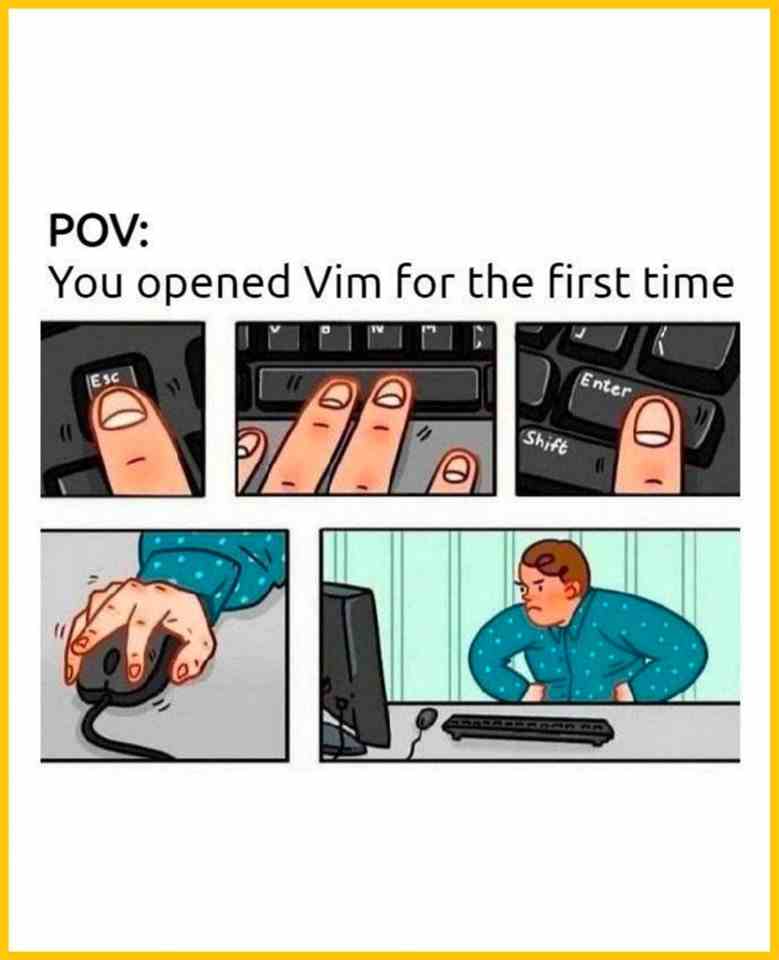 You opened Vim for the first time